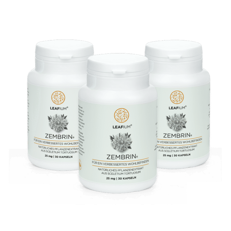ZEMBRIN 30KAPSELN 25MG 3 MONATSPAKET 33% SPAREN!