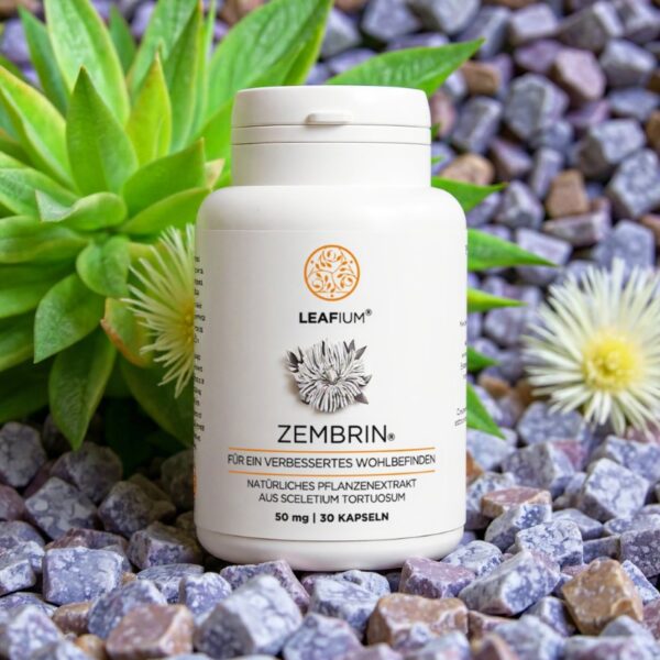 Zembrin 30 Kapseln à 50mg – Bild 2